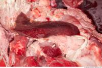 RAW meat pork viscera 0017